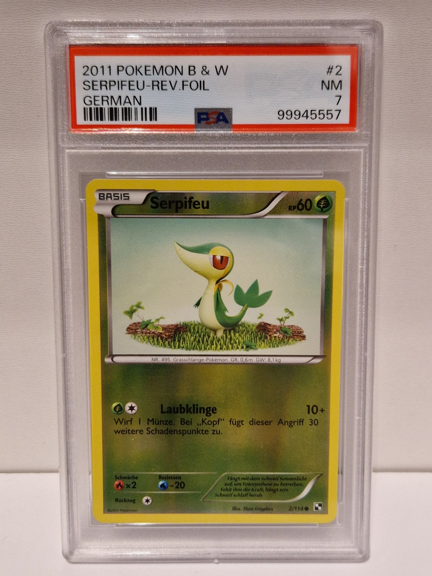 2011 - Serpifeu - PSA 7