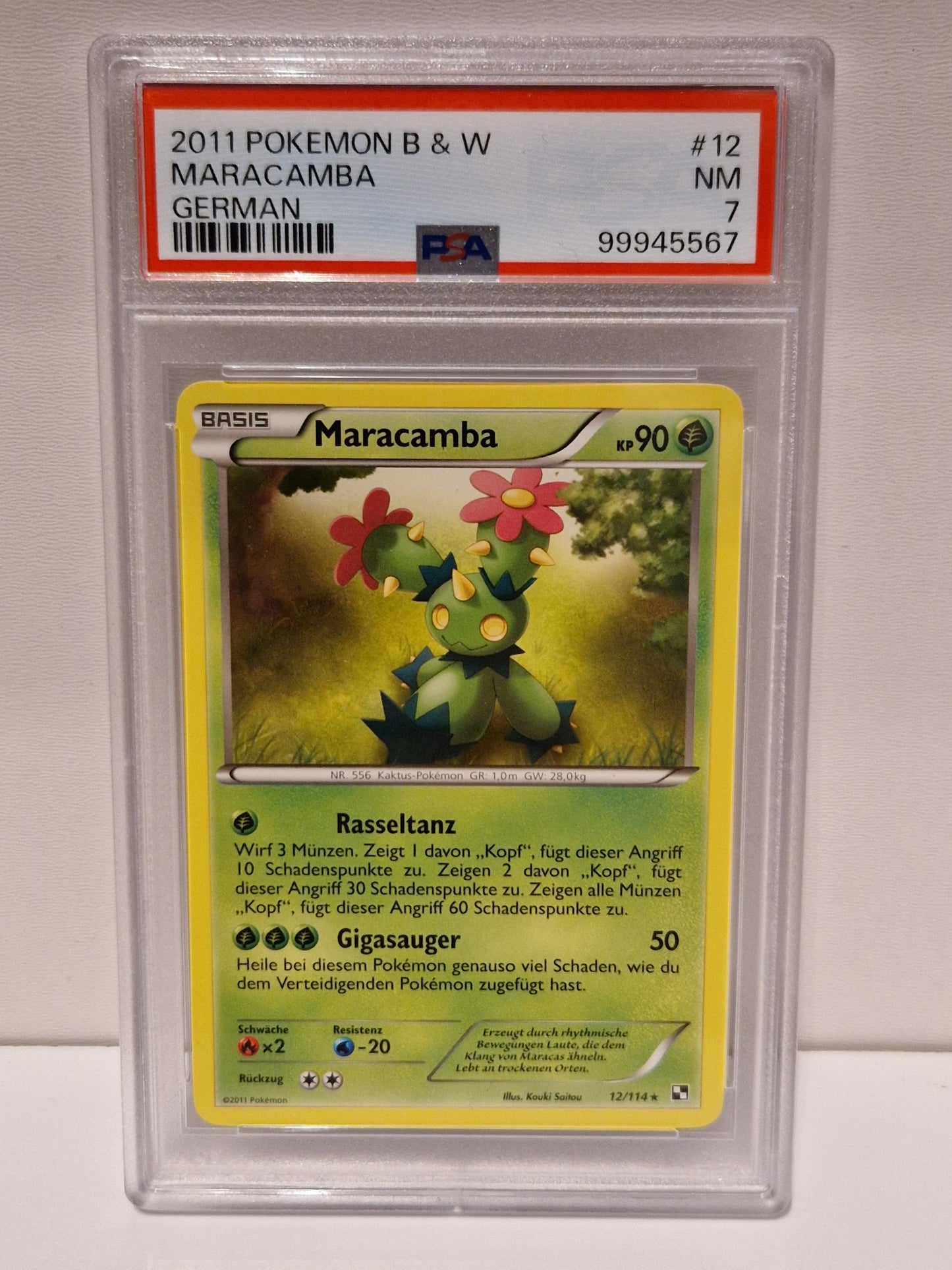 2011 - Maracamba - PSA 7