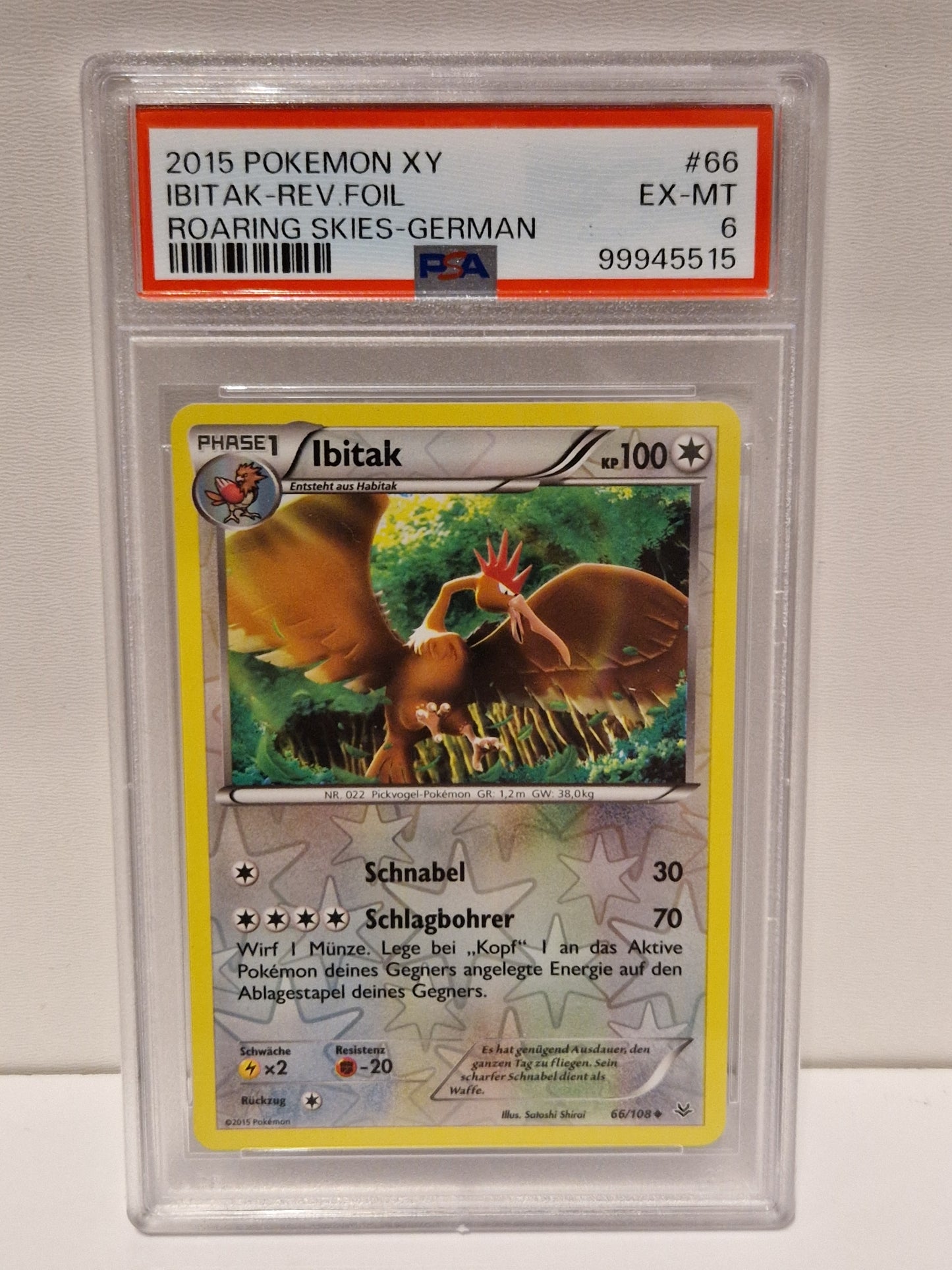 2015 - Ibitak - PSA 6