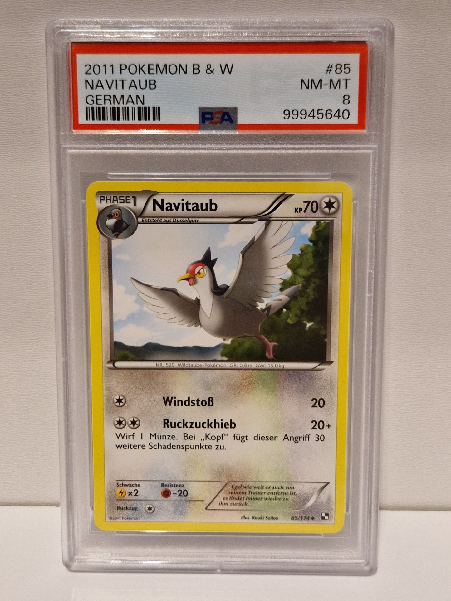 2011 - Navitaub - PSA 8