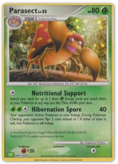 2023 - Parasek - (CLV)