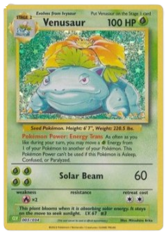 2023 - Bisaflor - (CLV)